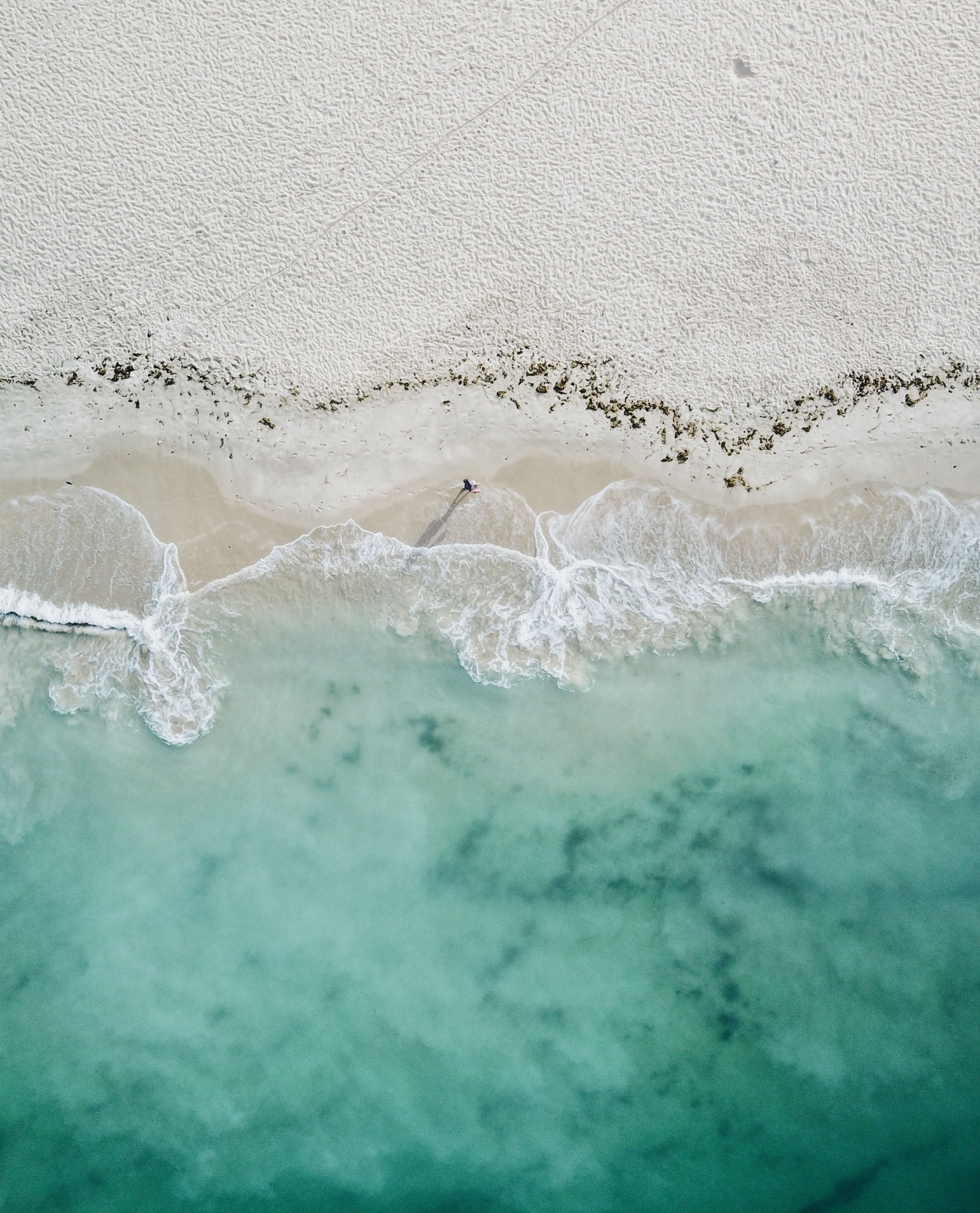 Die perfekten Reisebegleiter für den Sommer