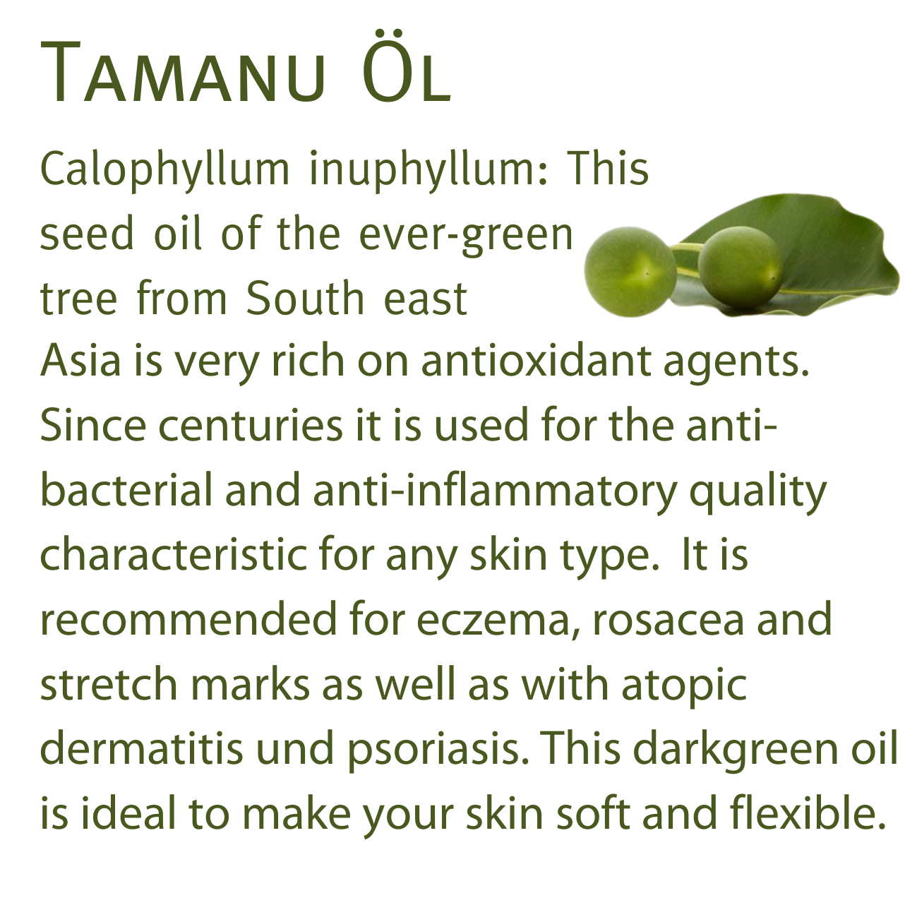 Bio Tamanu Öl 30ml