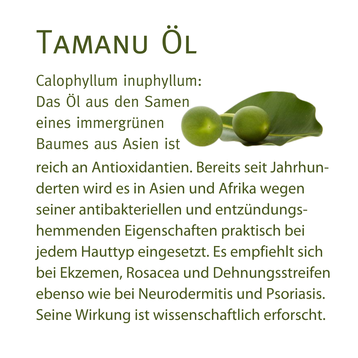 Bio Tamanu Öl 30ml